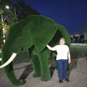  ,   , 51 ,   c 