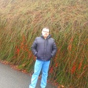  ,  Volli, 59