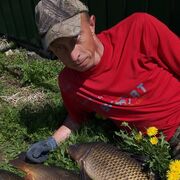 ���������� ���������, ���� ������� �������, 42 ����, ������������ ��� ������, ����� � ���������, c�������� ���������