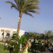 ���������� ������, ���� ������� �������, 58 ���, ������������ 