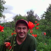  ,   , 46 ,   