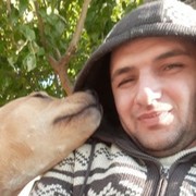 ���������� ������, ���� ������� Hayk, 39 ���, ������������ ��� ������, ����� � ���������, c�������� ���������