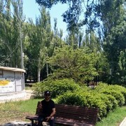  ,   , 36 ,   ,   