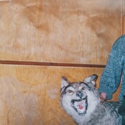 ���������� ������, ���� ������� ������, 66 ���, ������������ ��� ������, ����� � ���������, c�������� ���������