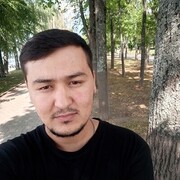 ���������� ��������, ���� ������� ������, 29 ���, ������������ ��� ������, ����� � ���������, c�������� ���������, ���������