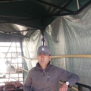  ,   Vgyj, 34 ,   ,   , c 