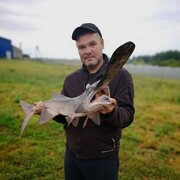  ,   , 44 ,   ,   