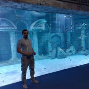  ,  TEMUR, 30