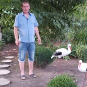  ,   , 40 ,   c 