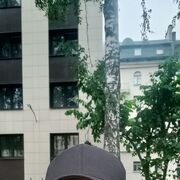  ,   , 44 ,   c , 