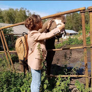 ���������� ������ ��������, ���� ������� ������, 38 ���, ������������ 