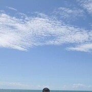 ���������� ����, ���� ������� Elton, 36 ���, ������������ ��� ������, ����� � ���������