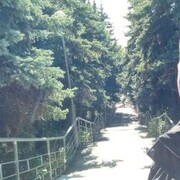  ,  Ilham, 37