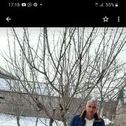  -,   , 55 ,   ,   