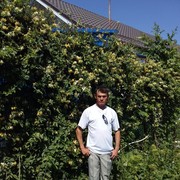 ���������� ��������-��-������, ���� ������� �������, 43 ����, ������������ ��� ������, ����� � ���������, c�������� ���������