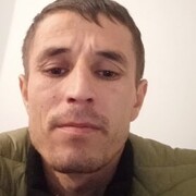  ,   ALI, 33 ,   ,   