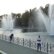  -,   , 51 ,   ,   , c 