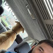 ���������� �����-���������, ���� ������� ���������, 39 ���, ������������ ��� ������, ����� � ���������, c�������� ���������