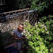  ,   Nadezhda, 59 ,   ,   , c 