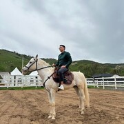 ���������� �������, ���� ������� ������, 29 ���, ������������ ��� ������, ����� � ���������