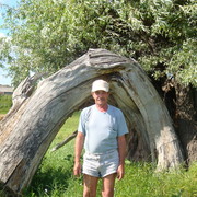 ���������� ��������, ���� ������� ����, 71 ���, ������������ ��� ������