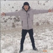 ���������� ������, ���� ������� Ardo, 31 ���, ������������ 