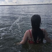 ���������� �������, �����