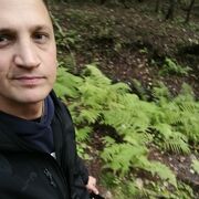  -,   , 31 ,   ,   