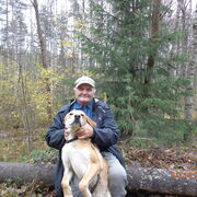 ���������� ����������, ���� ������� ��������, 81 ���, ������������ ��� ������, ����� � ���������