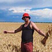 ���������� �����������, ���� ������� ������, 40 ���, ������������ ��� ������, ����� � ���������