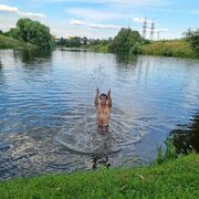 ���������� ������, ���� ������� ������, 38 ���, ������������ ��� ������, ����� � ���������