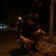  ,   , 31 ,   ,   , c 