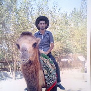  ,   Kamran, 34 ,   