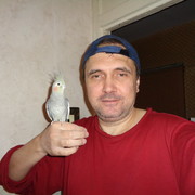  ,   , 52 ,   ,   , c 