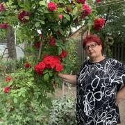 ���������� ������, ���� ������� ��������, 62 ����, ������������ ��� c�������� ���������, ���������