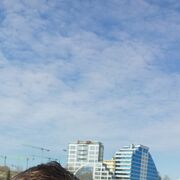 ,   , 30 ,   ,   , c , 