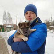 ���������� ���������, ���� ������� �������, 41 ���, ������������ ��� ����� � ���������, c�������� ���������, ���������