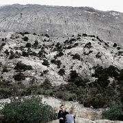 ���������� ���������, ������� �������, 30