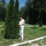 ���������� ������, ���� ������� �����, 42 ����, ������������ 