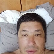  ,  , 43