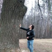 ���������� �������, ���� ������� ������, 37 ���, ������������ ��� ������, ����� � ���������, c�������� ���������