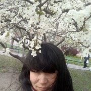 ���������� ����, ���� ������� ����, 41 ���, ������������ ��� ������, ����� � ���������, c�������� ���������