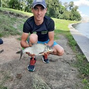 ���������� �����-���������, ���� ������� �����, 36 ���, ������������ ��� ������, ����� � ���������, ���������