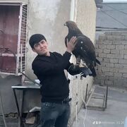  -,   , 29 ,     , c 
