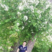  ,   , 44 ,   ,   , c 