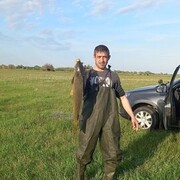 ���������� ���������, ���� ������� ������, 39 ���, ������������ ��� ������, ����� � ���������, c�������� ���������, ���������