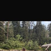 ���������� ����������, ���� ����� ������, 22 ����, ������������ ��� ������, ����� � ���������