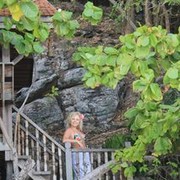  ,   Vlada, 40 ,   
