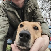 ���������� ���������, ���� ������� �������, 49 ���, ������������ ��� ������, ����� � ���������, c�������� ���������, ���������