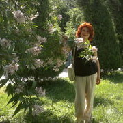 ���������� �������, ���� ������� ������, 46 ���, ������������ ��� ������, ����� � ���������, c�������� ���������